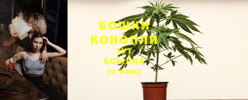 Бошки марихуана SATIVA & INDICA  Агрыз 